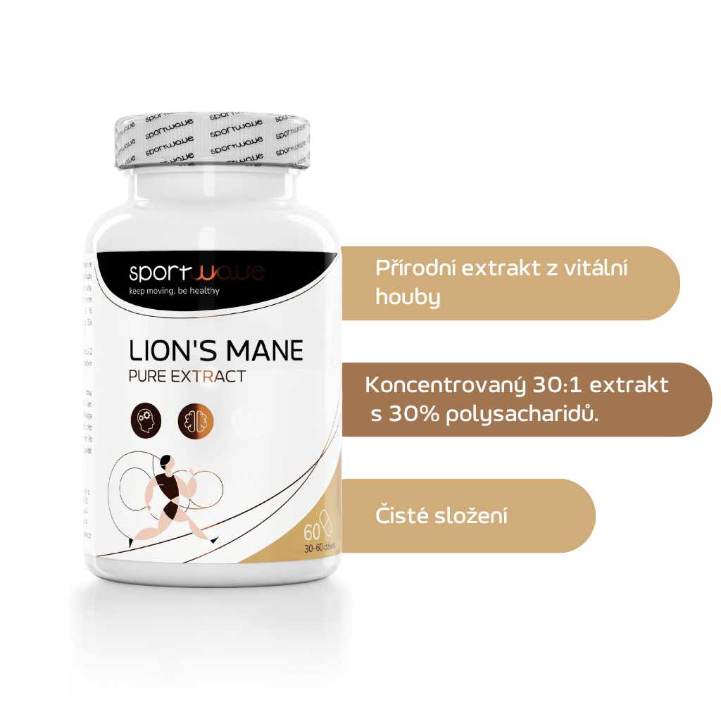 lions mane slozeni